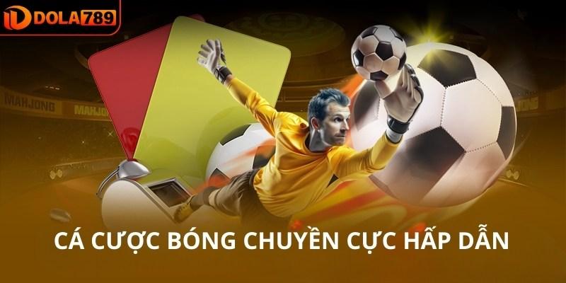 Cá cược bóng chuyền cực hấp dẫn