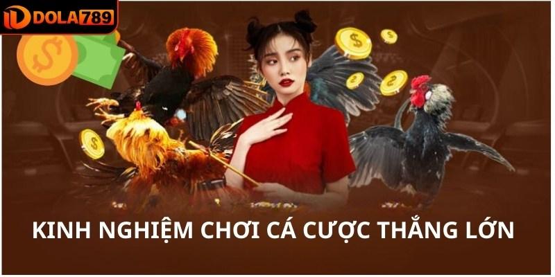 Kinh nghiệm chơi cá cược thắng lớn