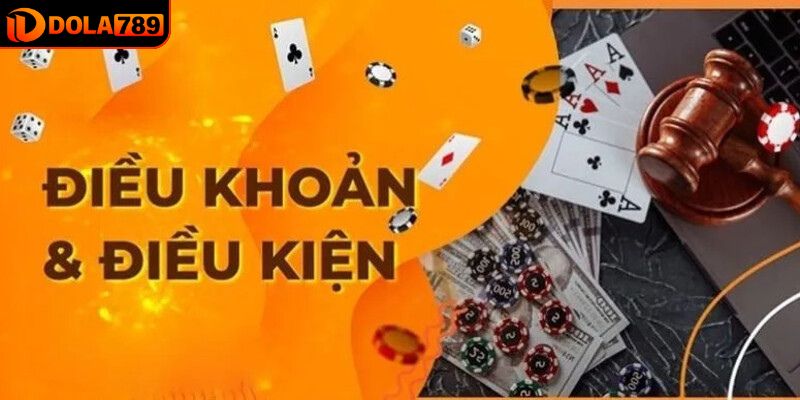 Tổng hợp các điều khoản điều kiện mới nhất